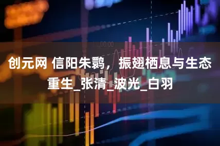 创元网 信阳朱鹮，振翅栖息与生态重生_张清_波光_白羽